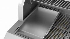 Hestan Stainless Steel Griddle Plate - AGGP