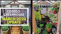 Costco Greenhouse: Exciting updates for March