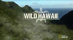 Nat Geo Wild - From the fiery lava fields to the depths of...