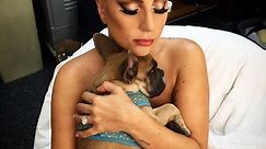 Lady Gaga's Dogs Recovered Safely 2 Days After Armed Robbery