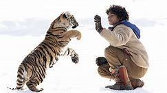 Le Tigre et l'enfant (VF)
