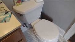 Kohler Ingenium Toilet Flushing