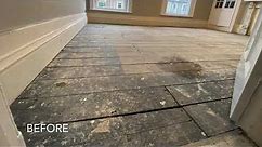 Pine floor repair and restoration - complete AMAZING project