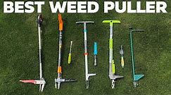 BEST Weed Pulling Tool Comparison