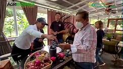 Market Matching: Dragon fruit cuttings - buyer at seller pinag tagpo para win win!