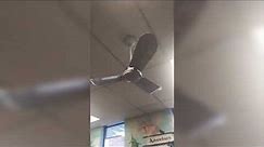 SMC 36" Industrial/Commercial Ceiling Fan in a library