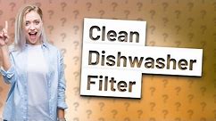 Can you clean a dishwasher filter without removing?