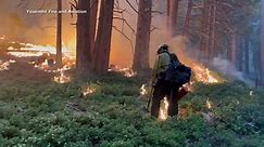 Washburn Fire rages through California's Yosemite National Park
