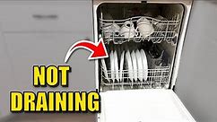 How To Fix A Dishwasher That Won't Drain