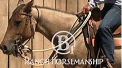 B1 Horsemanship - You can teach speed transitions from...