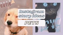 Instagram Story Ideas For Pets⎪Aesthetic & Minimal