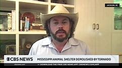 "Every animal is alive" after Mississippi animal shelter destroyed in tornado