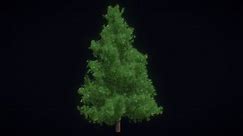 Xmas Tree realistic - Christmas tree realistic - Download Free 3D model by Graphetta