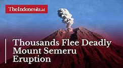 Thousands Flee Deadly Mount Semeru Eruption