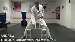 Andrew Single Cement Block / Brick Break with Palm Heel Strike
