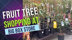 Shopping for Fruit tree at Lowes