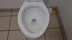 (RARE!) Older Kilgore Elderly toilet