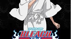 Bleach (English Dubbed): Season 2 Episode 53 53