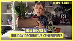 How to make a festive DIY planter for your holiday centrepiece | Houseplanted
