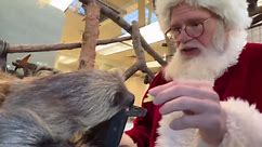 Santa pays early visit to 'very good' Cincinnati Zoo animals