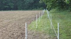 Protecting Your Food Plots from Deer Damage