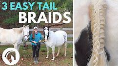 HOW TO BRAID A HORSE’S TAIL (3 Easy Braids)