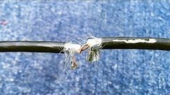 The Serviceman Didn't Tell This Trick! Connecting the Tv Antenna Cable Correctly & Clear Screen