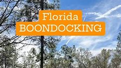 Yes, Florida Has RV Boondocking! (📌 Save This!!!) Not only is free RV dry camping available but there are also big rig friendly options. 🙌 Ocala National Forest is ATV friendly as well so bring your toys. ❓Have you ever boondocked in your RV in Florida? ——————————— 🚐 Our family has RVed full-time for 8 years across 42 states. We share BOTH the benefits and challenges of RVing, RV tips, RV living, and amazing destinations. Follow 👇 @theadventuredetour @theadventuredetour @theadventuredetour —