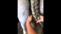 How to French Braid Horse Tail - Basic
