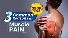 3 Common reasons for Muscle Pain & How to get rid of Muscle pain?