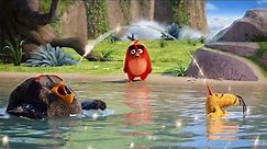 The Angry Birds Movie Hindi (08/14) The Lake Of Wisdom Scene Movie Clips in Hindi.