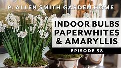Forcing Bulbs to Bloom Indoors | Paperwhites & Amaryllis: P. Allen Smith