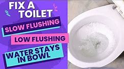 Toilet Won't Flush | Slow Flushing Toilet | Water Stays in Bowl