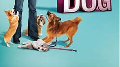 It's Me or the Dog: Season 2 Episode 3 Great Dane Devotion