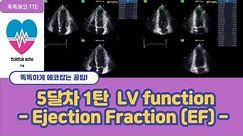 Ejection Fraction #EF #LV systolic function # 심장기능 #echocardiography #심장초음파 #심박출률 # stroke volume