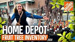 UNVEILING 2024: Home Depot's LUSH Fruit Tree Collection!
