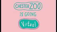 Virtual Zoo Visits