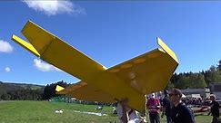 Self build RC Airplane without Engine