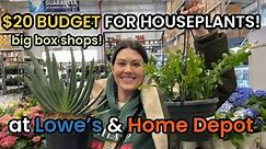$20 BUDGET Lowe's & Home Depot Plant Shopping - Big Box House Plant Shopping & Plant Haul