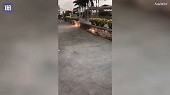 Two men set a caged rat on fire in Guangdong in China