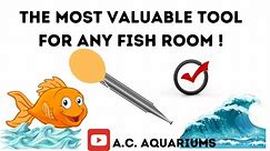 The best tool in the fish hobby / How to in aquarium hobby