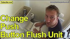 HOW TO CHANGE A PUSH BUTTON FLUSH UNIT - Plumbing Tips