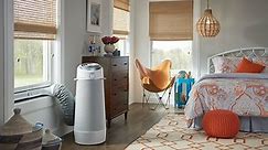 7 Best Air Conditioners For Windowless Rooms (2023 Reviews)