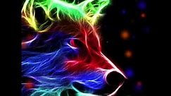 10 Cool wolf wallpapers 🐺🐺