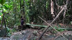 Car Camping Series - Build Bamboo Shelters by the Stream, Make Fish Traps for Fishing