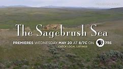 PBS - Preview tonight's new Nature | PBS, The Sagebrush...