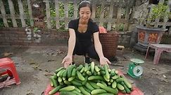 Harvesting cucumber Go To The Market Sell - Make Bed, Build swimming pool rock waterfall