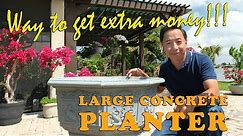 Large Concrete Planter - Way to make some extra money!