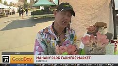 Mahany Park Farmers Market
