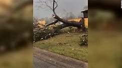 Dramatic video shows inside the tornado in Alabama